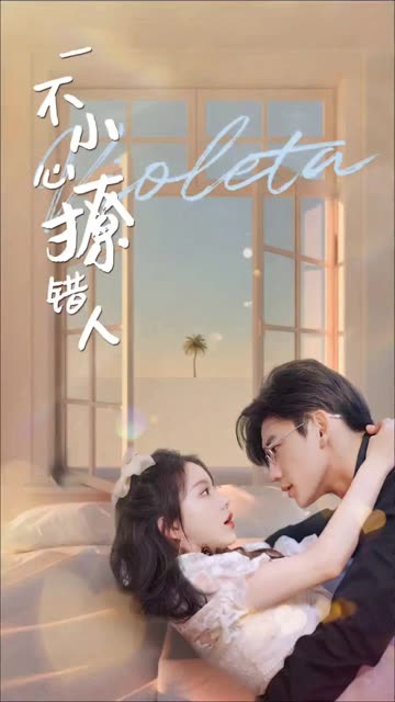 一不小心撩错人全集