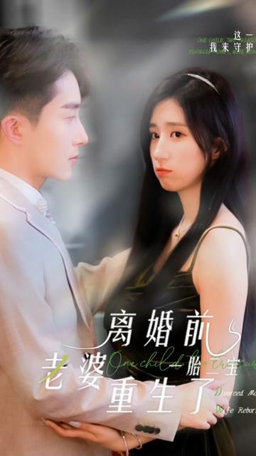一胎二宝：离婚前老婆重生了全集