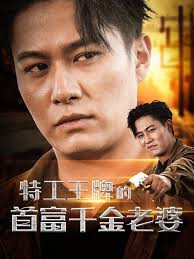 特工王牌的首富千金老婆全集