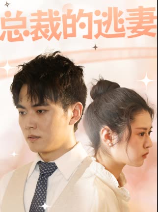 总裁的逃妻全集