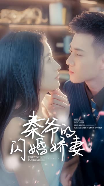 秦爷的闪婚娇妻全集