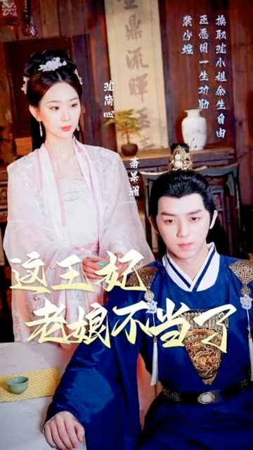这王妃老娘不当了全集