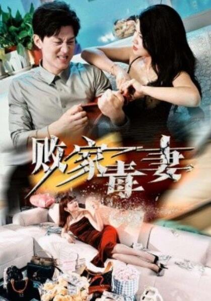 败家毒妻全集