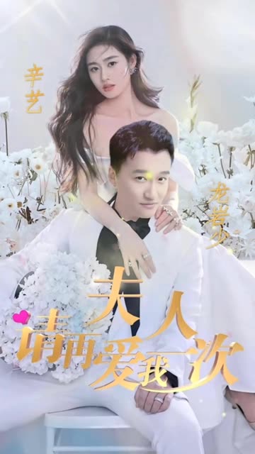 夫人，请再爱我一次全集