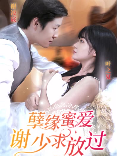 孽缘蜜爱谢少求放过全集