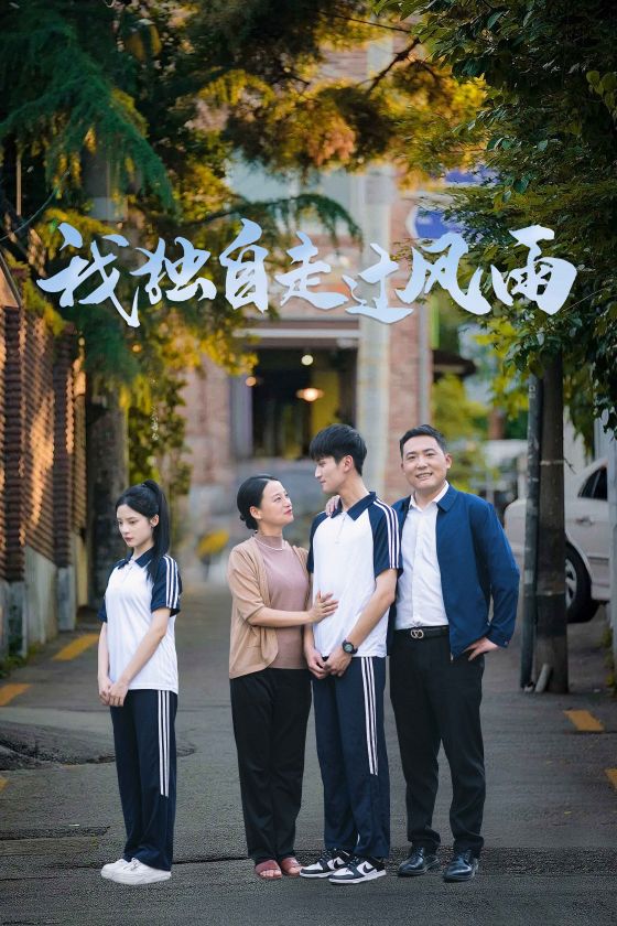 我独自走过风雨全集