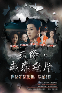 天降未来芯片全集