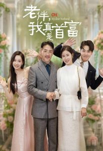 老伴，我真是首富全集