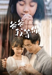 爸爸我等你全集