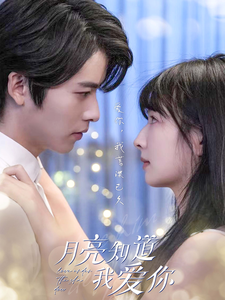 月亮知道我爱你全集