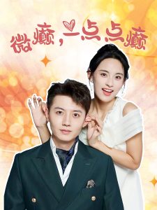 微癫，一点点癫全集