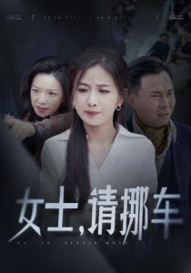 女士请挪车＆善门难开全集