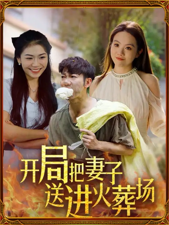 开局把妻子送进火葬场全集