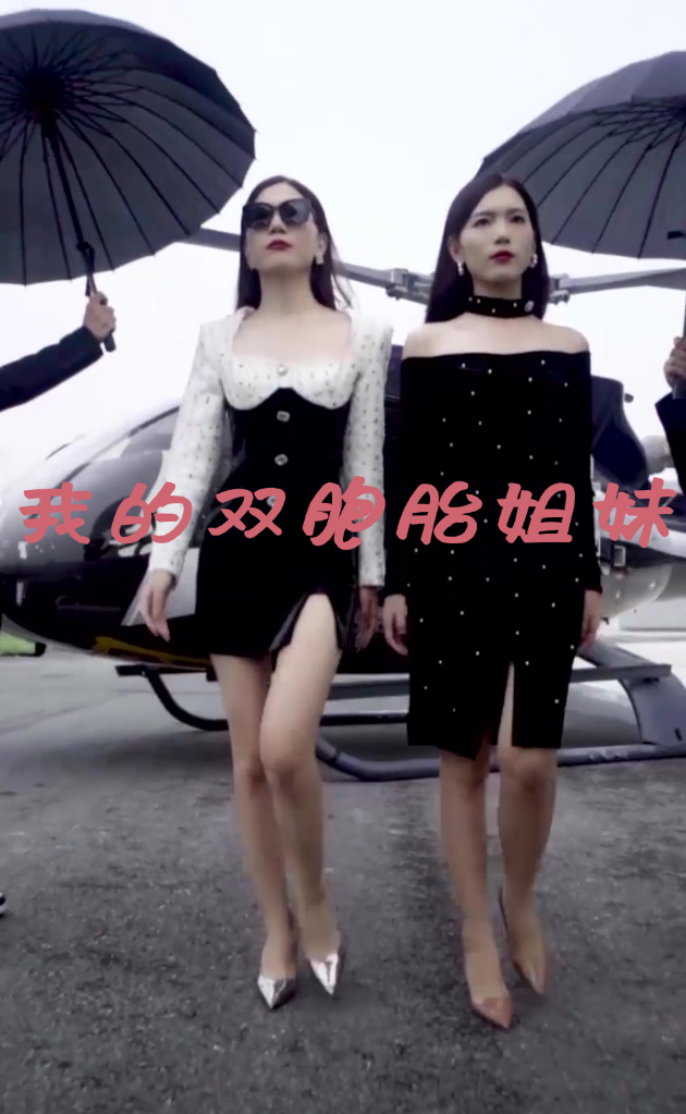 我的双胞胎姐妹全集