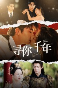 寻你千年全集