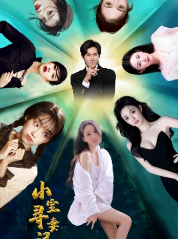 小宝寻妻记全集