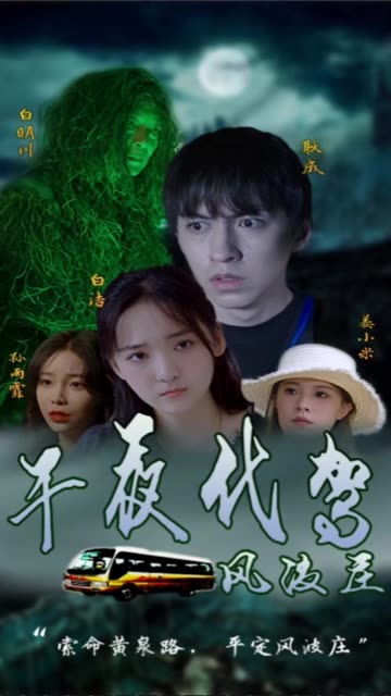 午夜代驾全集