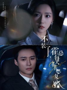 不装了霍总每天都想复婚全集