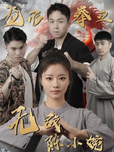 龙形拳之无敌陈小婉全集