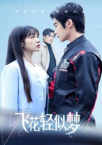 飞花轻似梦全集