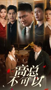 高总不可以全集