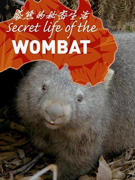 袋熊的秘密生活全集