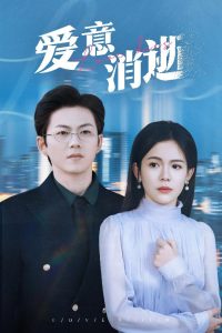 爱意消逝全集