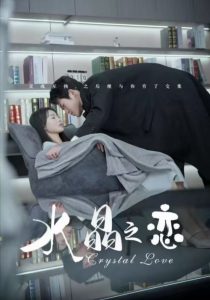水晶之恋短剧全集