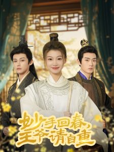 妙手回春王爷请自重全集