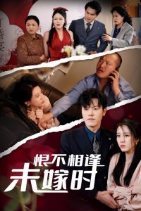 恨不相逢未嫁时30集全集