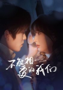 不能相爱的我们全集
