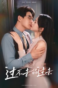 过不去的过去&我用血肉去爱你全集