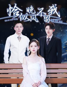 恰似晚风不留我＆弃他如风全集