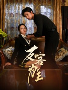 七年谜情＆反客为主全集