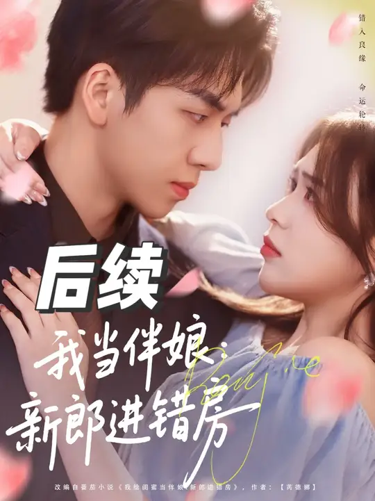 我当伴娘新郎进错房全集