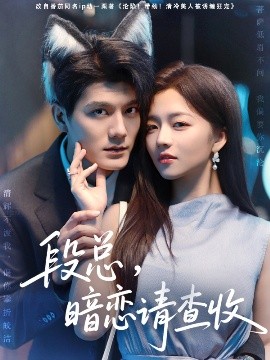 段总，暗恋请查收全集