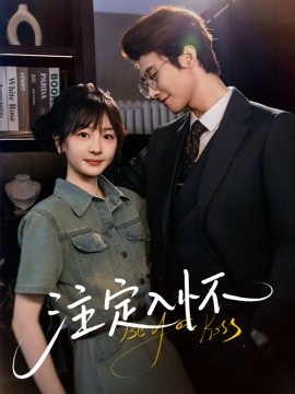 注定入怀全集