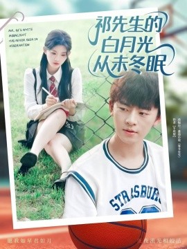 祁先生的白月光从未冬眠全集