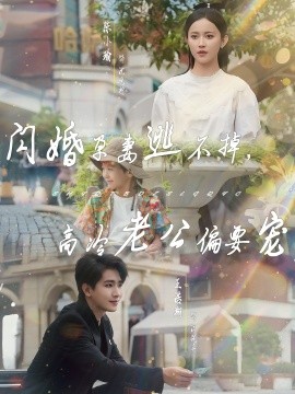 闪婚孕妻逃不掉，高冷老公偏要宠全集