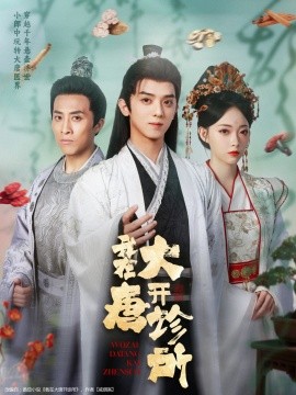 我在大唐开诊所全集