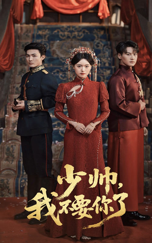 少帅我不要你了全集