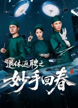 退休返聘之妙手回春全集