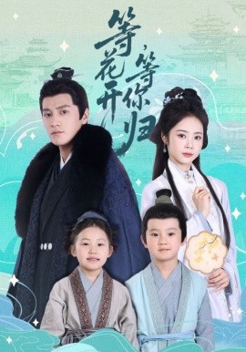 等花开 等你归全集