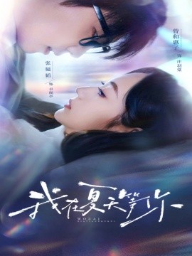 我在夏天等你全集