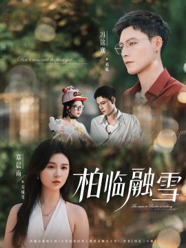 柏临融雪全集