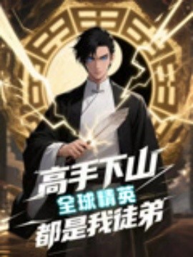 高手下山全球精英都是我徒弟全集