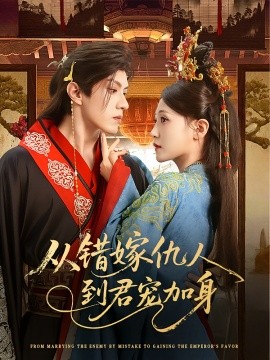 从错嫁仇人到君宠加身全集