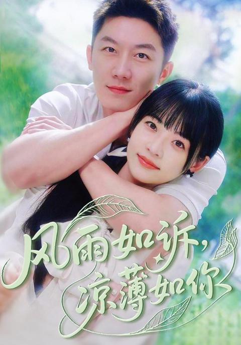 风雨如诉凉薄如你全集