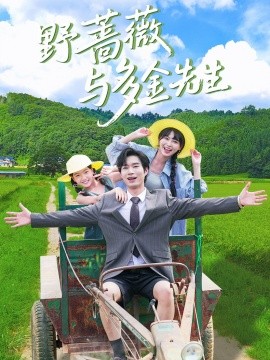 野蔷薇与多金先生全集