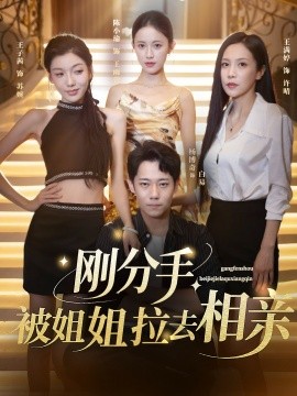 刚分手，被姐姐拉去相亲全集